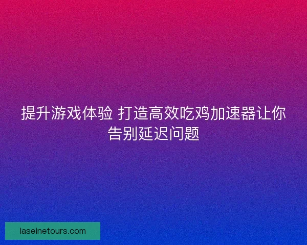 提升游戏体验 打造高效吃鸡加速器让你告别延迟问题