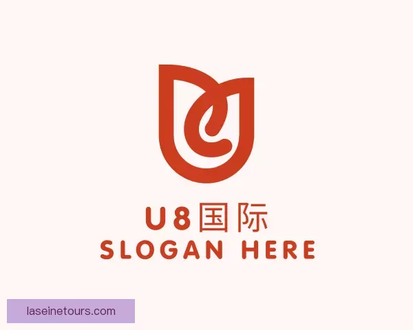 关于U8国际